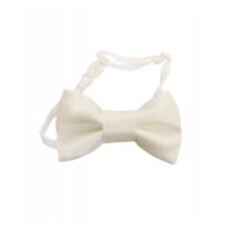 Бабочка нарядная Северное сияние