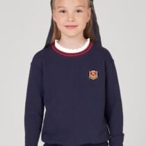 Джемпер-свитшот, синий