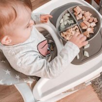 Twistshake Կերակրման ափսեներ սկուտեղով