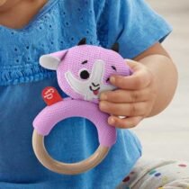 Fisher-Price Игрушка