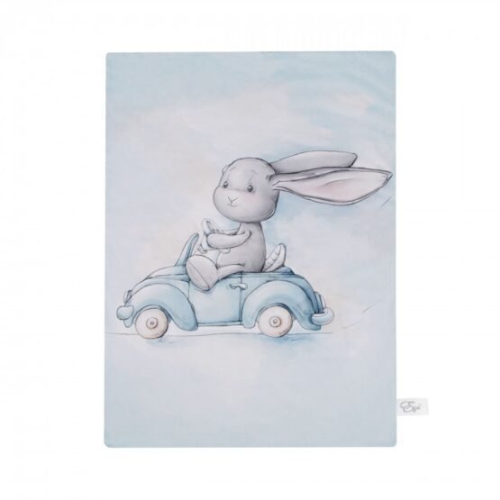 Одеяло двойное