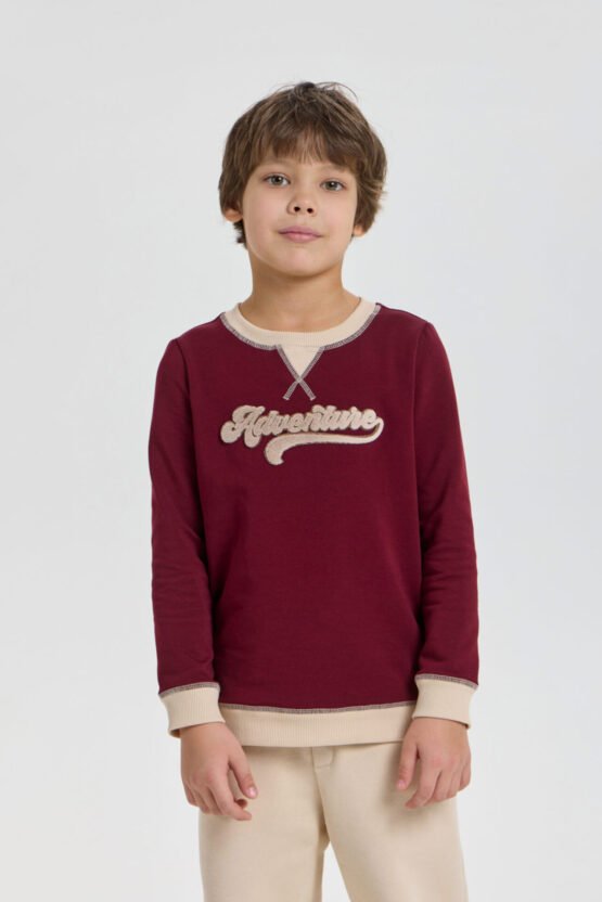 Կոմբինացված ջեմպեր դեկորով