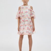 Նրբագեղ զգեստ